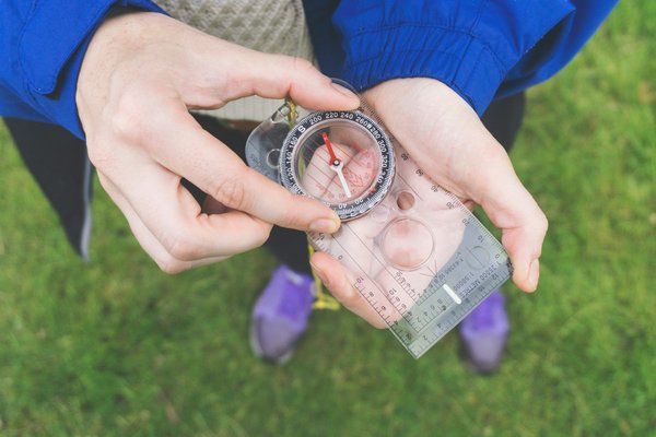 Voyager dans des réserves naturelles : immersion dans la vie des gardiens de la faune