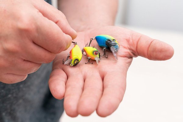 Le choix des leurres carnassier pour la pêche en eau douce